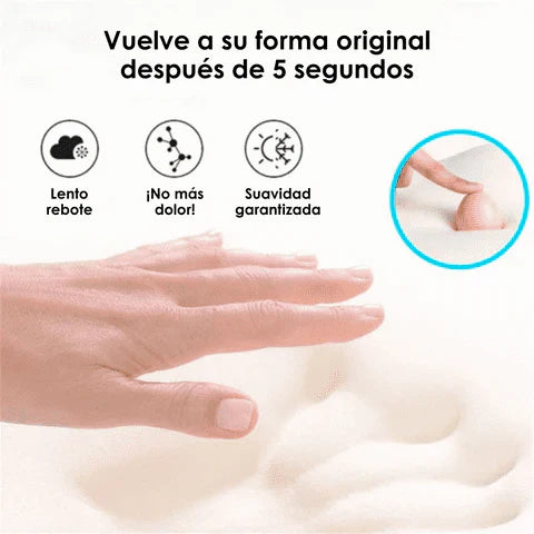 Ergocush™ - Cojín para dolores de espalda y coxis🪑✨