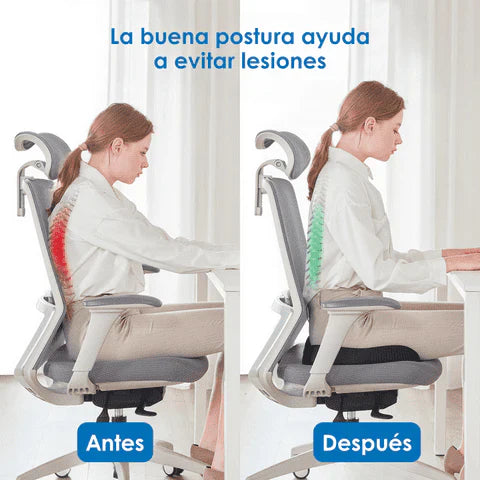 Ergocush™ - Cojín para dolores de espalda y coxis🪑✨
