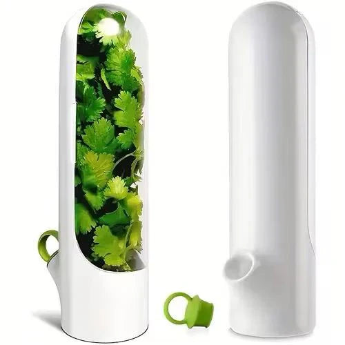 Everfresh™ - Conservador de hierbas 🌿🌱 2 x 1!!
